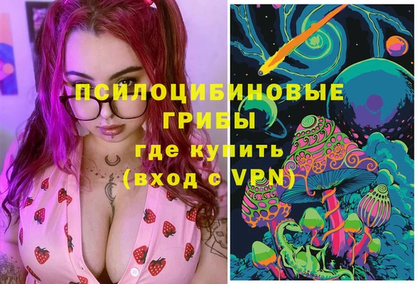 мет Аркадак