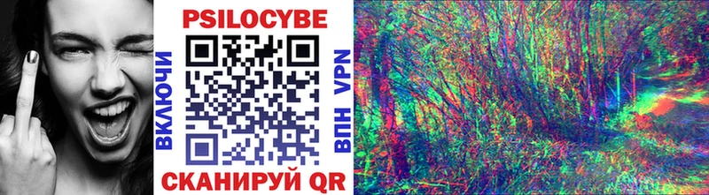 Галлюциногенные грибы Psilocybe  Купить где  Жиздра 